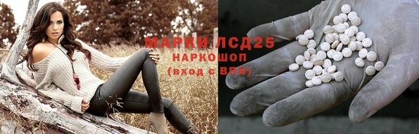 винт Алзамай