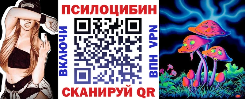 Псилоцибиновые грибы MAGIC MUSHROOMS  продажа наркотиков  Асино 
