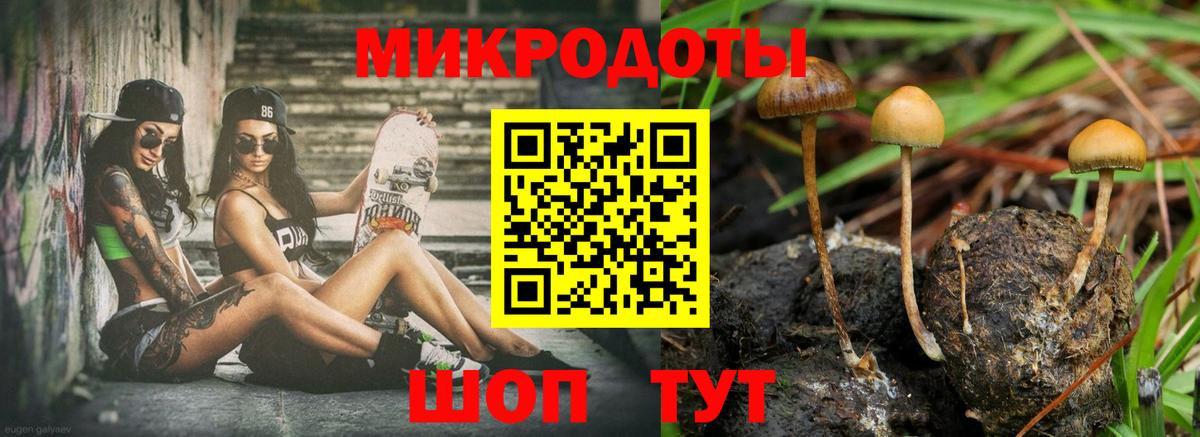 Псилоцибиновые грибы мицелий Асино