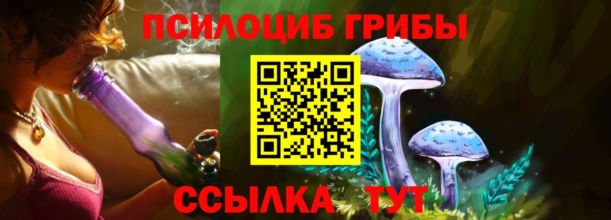 Псилоцибиновые грибы прущие грибы  Вход с VPN  Асино 